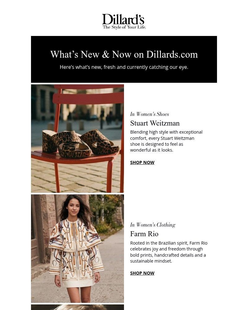 Screenshot of email sent to a Dillards Newsletter subscriber