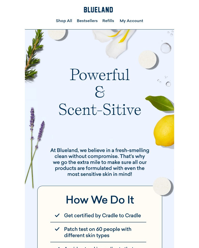 Screenshot of email with subject /media/emails/whats-that-smell-967b37-cropped-16858515.jpg