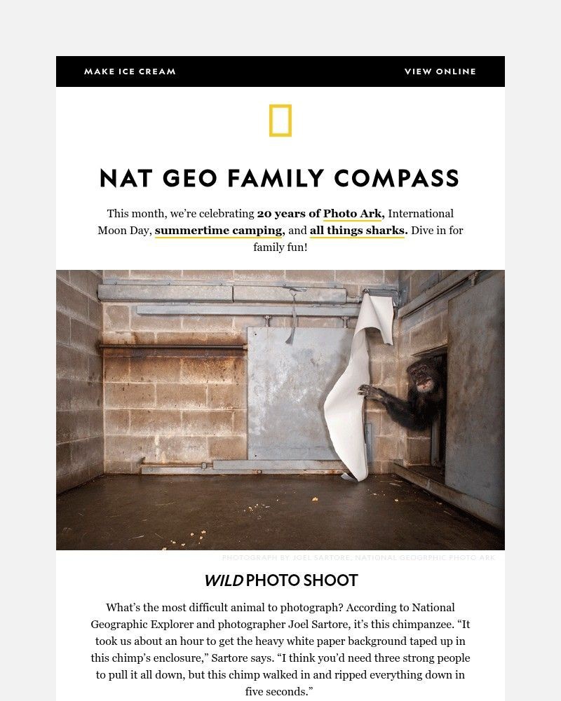 Screenshot of email with subject /media/emails/whats-the-largest-shark-species-plus-photographing-a-naughty-chimpanzee-e62018-cr_wl48yxT.jpg