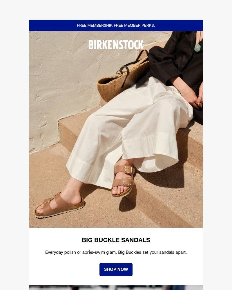 Screenshot of email with subject /media/emails/whats-your-big-buckle-style-d369bf-cropped-68bed96d.jpg
