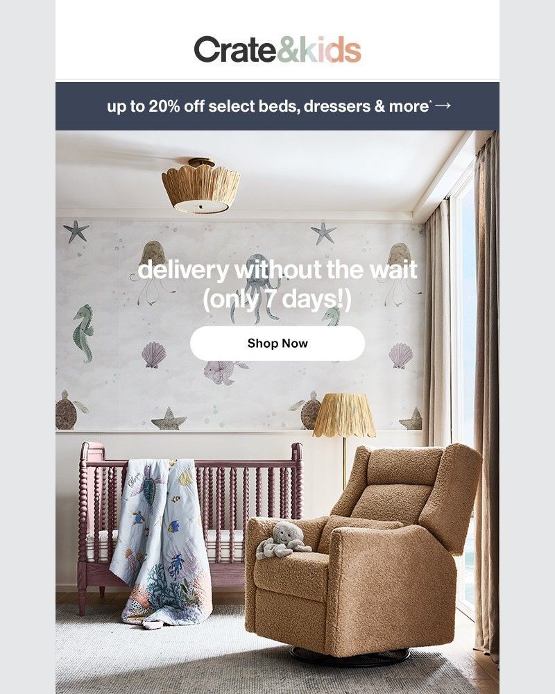 Screenshot of email sent to a Crate & Barrel Newsletter subscriber