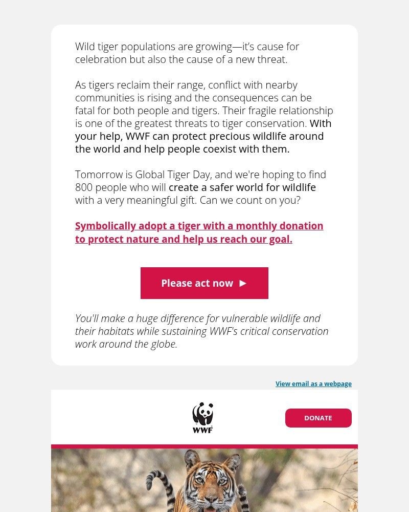 Screenshot of email with subject /media/emails/when-you-picture-a-tiger-6a792e-cropped-f1e3efe3.jpg
