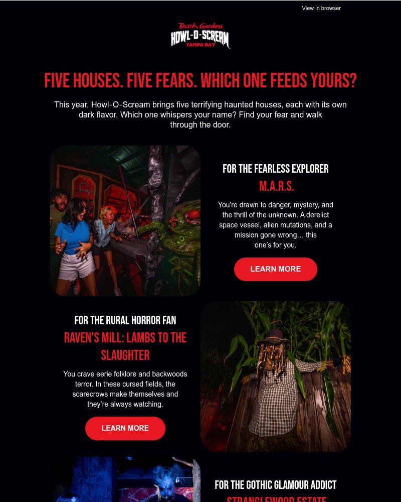 Screenshot of email with subject /media/emails/which-house-is-calling-you-your-screams-belong-somewhere-11ba5f-cropped-465f0671.jpg