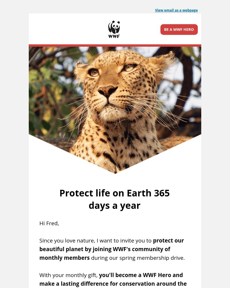 Screenshot of email with subject /media/emails/which-membership-card-do-you-want-1a7ce9-cropped-582f7208.jpg