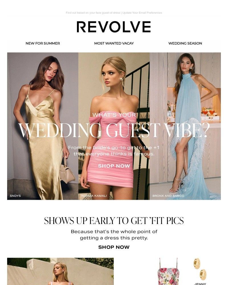 Screenshot of email with subject /media/emails/which-wedding-guest-are-you-6441ef-cropped-5d82c749.jpg