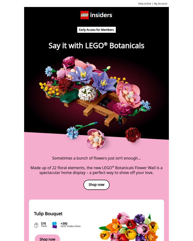 Screenshot of email with subject /media/emails/who-knew-bricks-could-be-so-romantic-fred-9eae7c-cropped-cd1c1ec3.jpg