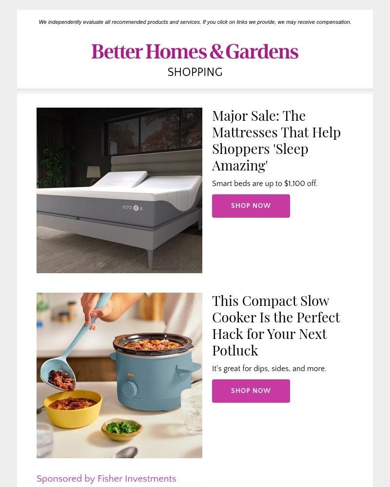 Screenshot of email with subject /media/emails/whoa-this-effortless-yard-care-companion-is-40-off-c0fb77-cropped-8ebdaad5.jpg