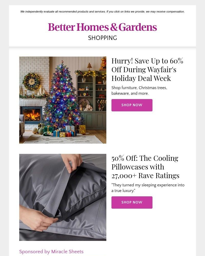 Screenshot of email with subject /media/emails/whoa-this-surprisingly-powerful-steam-cleaner-is-half-off-44fb4f-cropped-638111c7.jpg