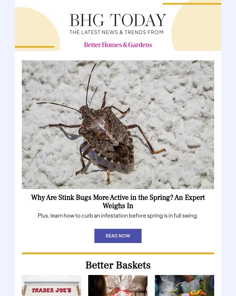 Screenshot of email with subject /media/emails/why-are-stink-bugs-more-active-in-the-spring-6082b4-cropped-7c0cec08.jpg