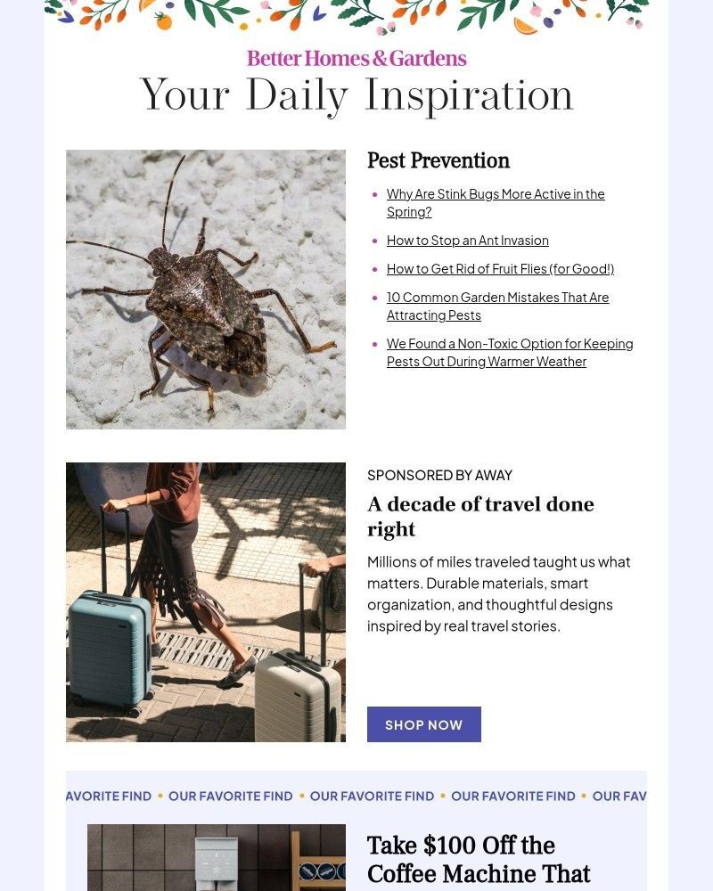 Screenshot of email with subject /media/emails/why-are-stink-bugs-more-active-in-the-spring-624a5c-cropped-0693d34a.jpg