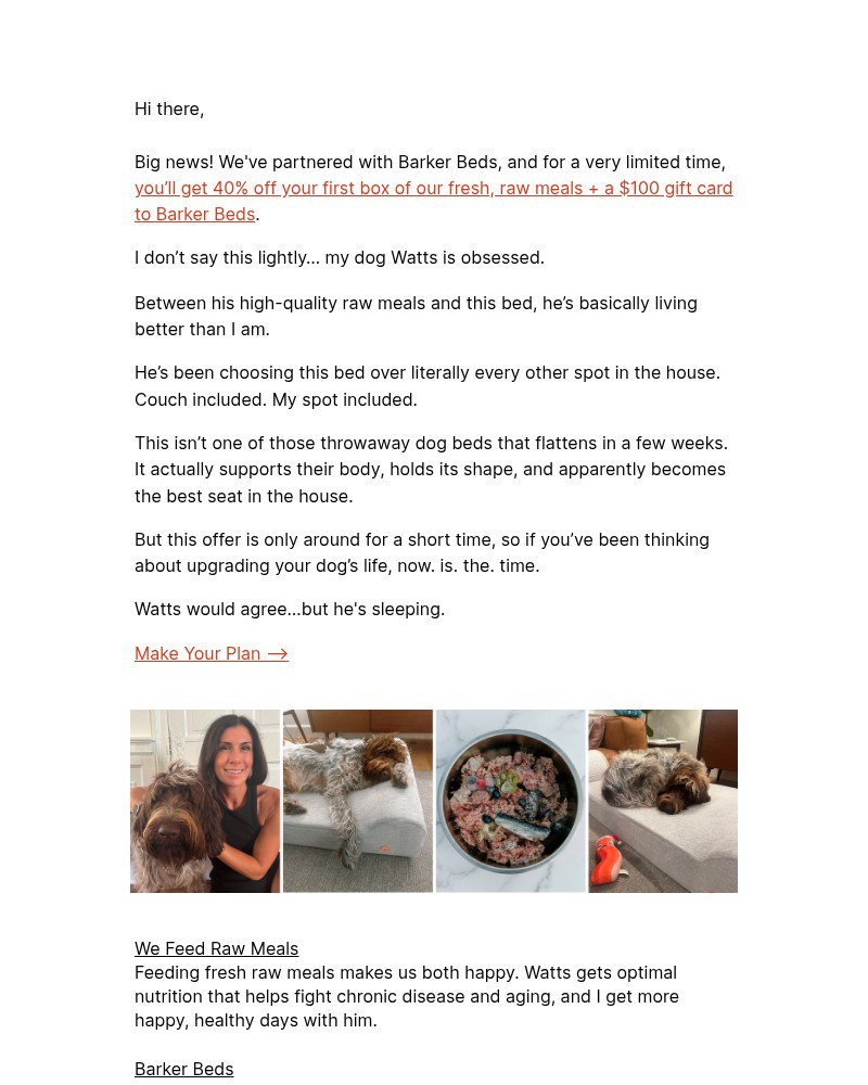 Screenshot of email with subject /media/emails/why-barker-beds-go-great-with-raw-meals-7afa38-cropped-9d4f4e9c.jpg