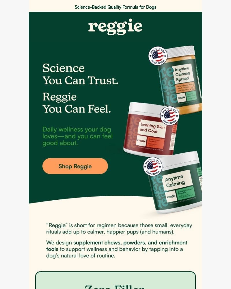 Screenshot of email sent to a reggie Newsletter subscriber