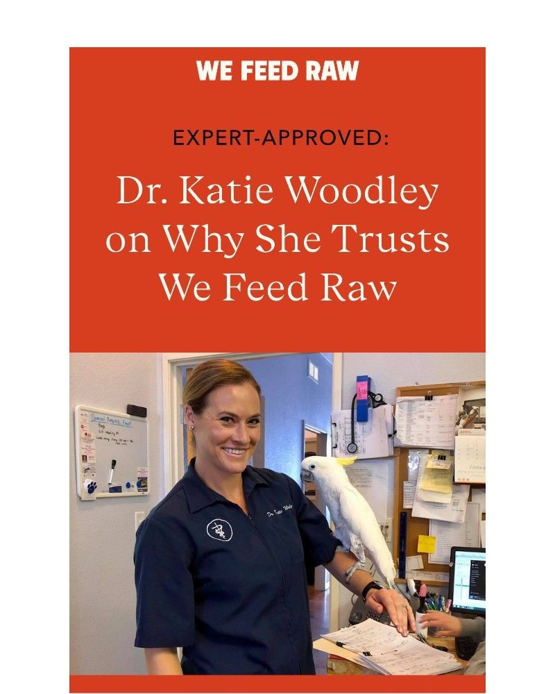 Screenshot of email with subject /media/emails/why-do-vets-recommend-raw-354bcb-cropped-c8244b73.jpg