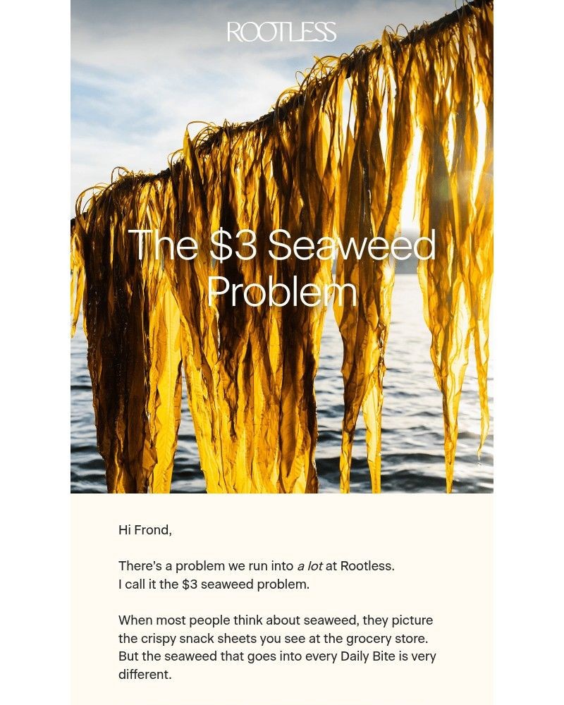 Screenshot of email with subject /media/emails/why-dont-we-use-cheaper-seaweed-987e5b-cropped-c6953b8d.jpg