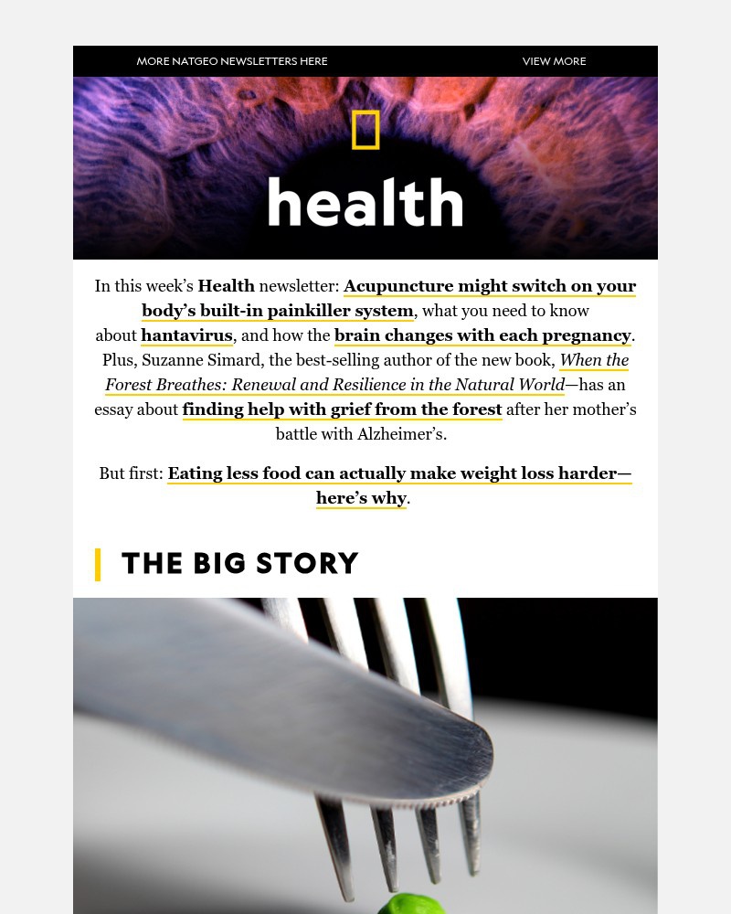 Screenshot of email with subject /media/emails/why-eating-less-for-weight-loss-can-backfire-the-healing-power-of-forests-what-is_JtjEVfv.jpg