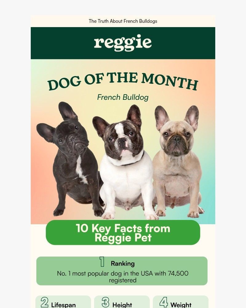 Screenshot of email with subject /media/emails/why-everyone-loves-french-bulldogs-youll-love-this-one-87b6f6-cropped-5cf1edd4.jpg