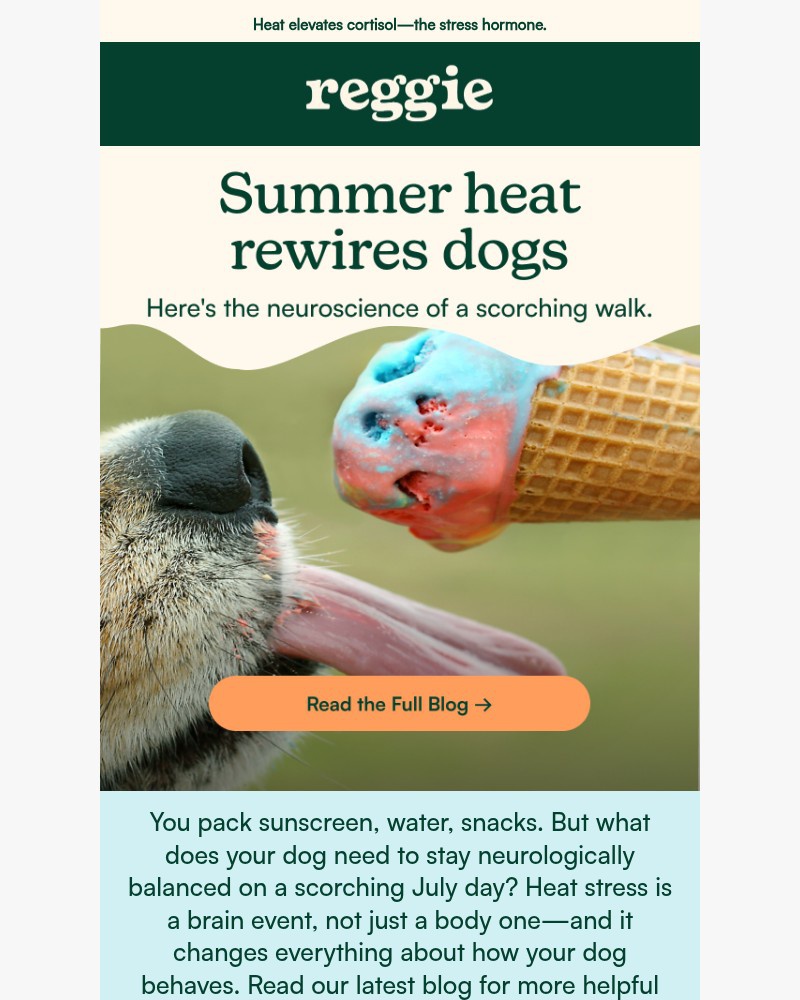 Screenshot of email with subject /media/emails/why-hot-weather-makes-your-dog-more-reactive-bebf23-cropped-d18d0b1a.jpg