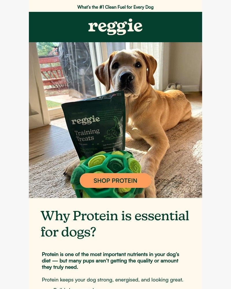 Screenshot of email with subject /media/emails/why-protein-matters-more-than-you-think-c26ed9-cropped-af938731.jpg