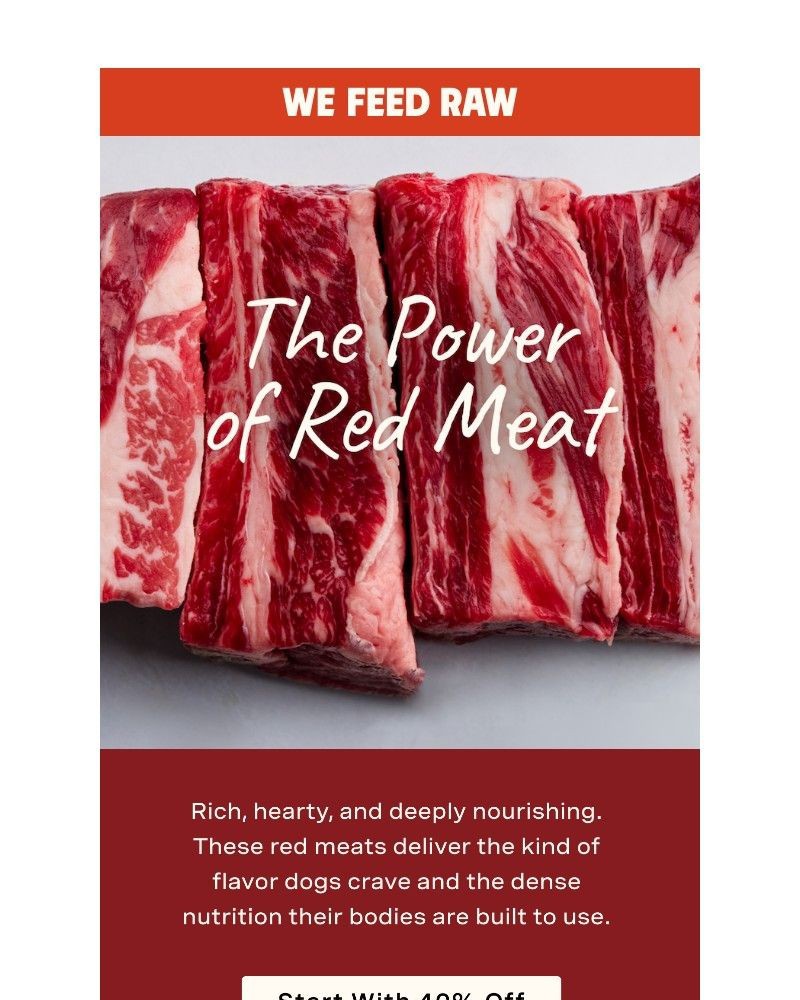 Screenshot of email sent to a We Feed Raw Newsletter subscriber