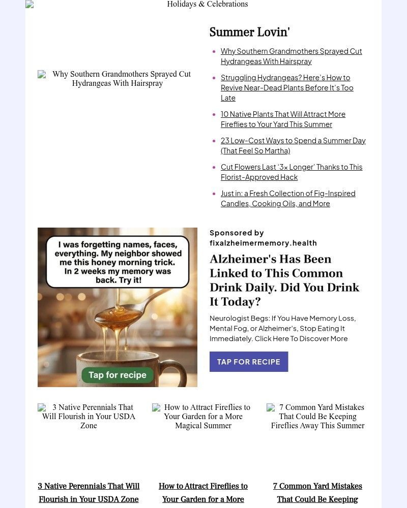 Screenshot of email sent to a Better Homes and Gardens Newsletter subscriber