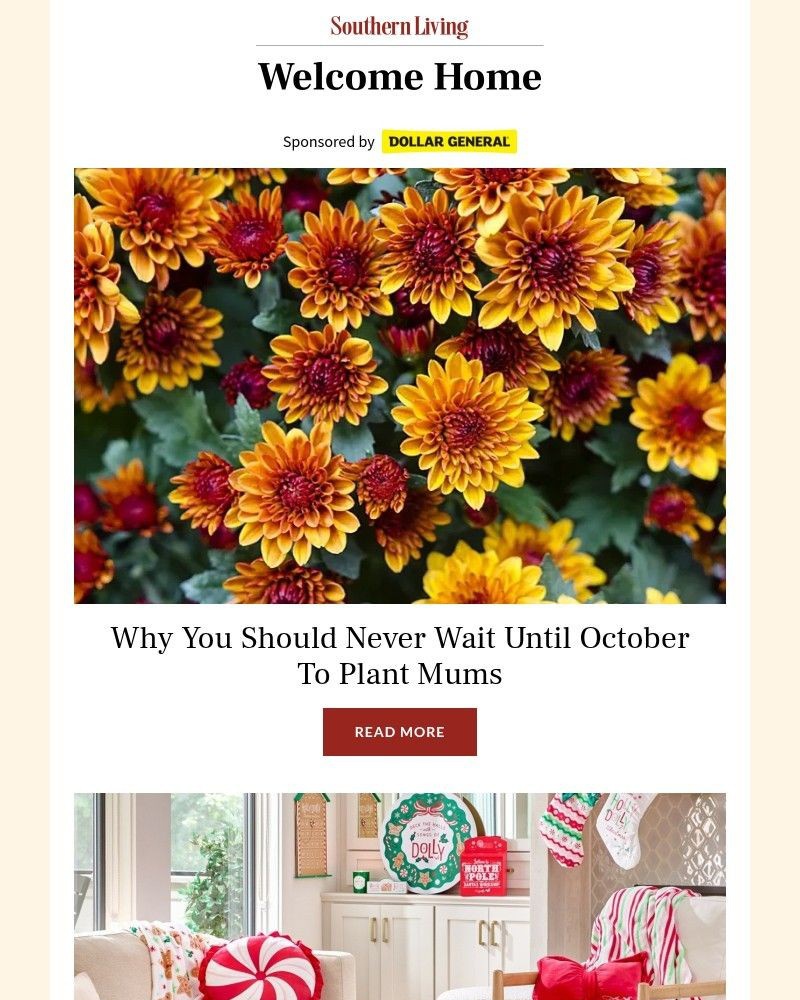 Screenshot of email with subject /media/emails/why-you-should-never-wait-until-october-to-plant-mums-ac6910-cropped-4a51a3f4.jpg