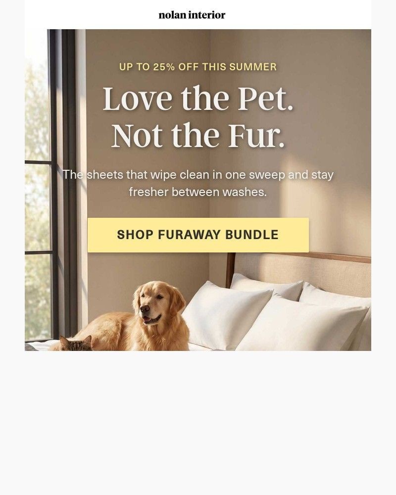 Screenshot of email with subject /media/emails/why-you-wake-up-covered-in-pet-hair-49d0d9-cropped-a0cf95d8.jpg