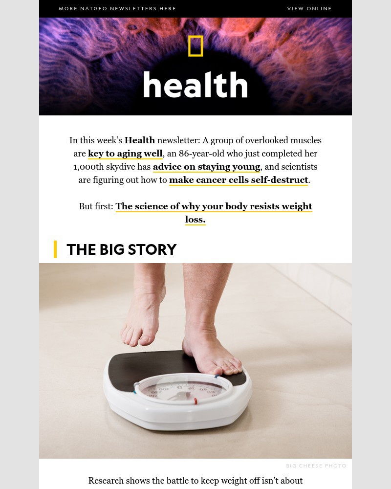 Screenshot of email with subject /media/emails/why-your-body-resists-weight-loss-overlooked-muscles-for-aging-well-self-destruct_A4AYy4j.jpg