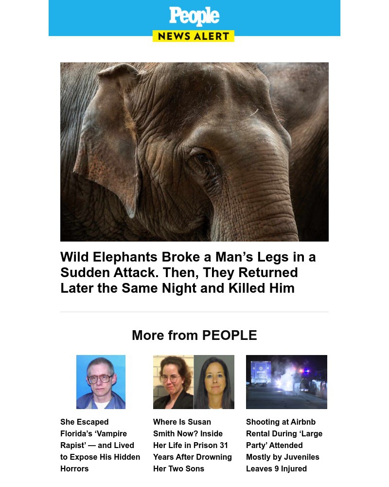 Screenshot of email with subject /media/emails/wild-elephants-broke-a-mans-legs-in-a-sudden-attack-then-they-returned-later-the-_EzaSCWx.jpg