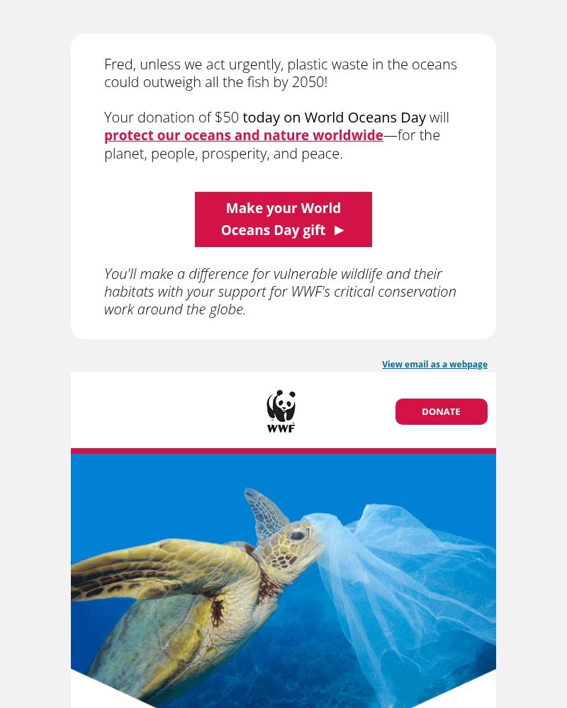 Screenshot of email with subject /media/emails/wildlife-deserve-an-ocean-without-plastic-216c8c-cropped-f6248f62.jpg