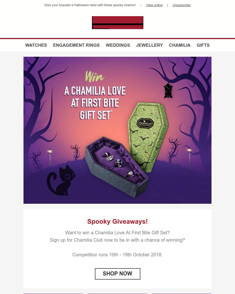 Screenshot of email with subject /media/emails/win-a-chamilia-love-at-first-bite-gift-set-cropped-d22cceee.jpg