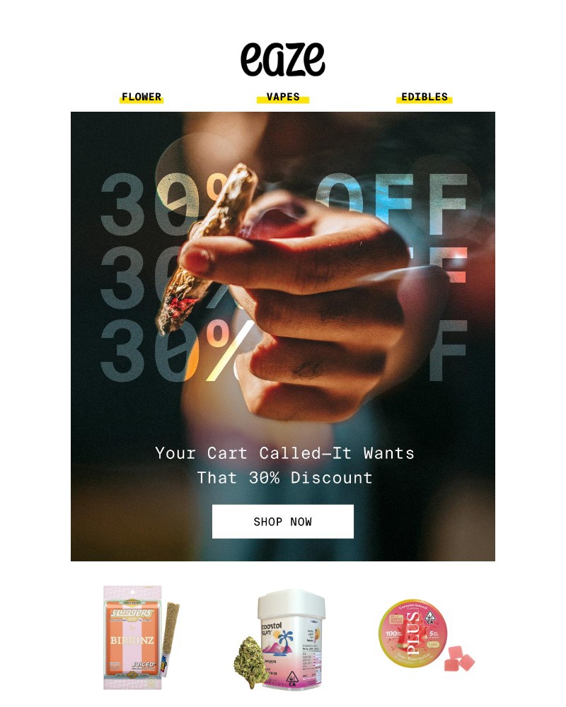 Screenshot of email with subject /media/emails/win-vip-access-to-beachlife-festival-39b471-cropped-507fb031.jpg