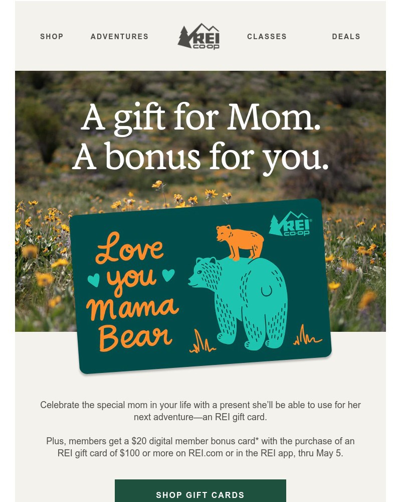 Screenshot of email with subject /media/emails/win-win-give-a-gift-card-earn-a-bonus-card-338c26-cropped-aee56053.jpg