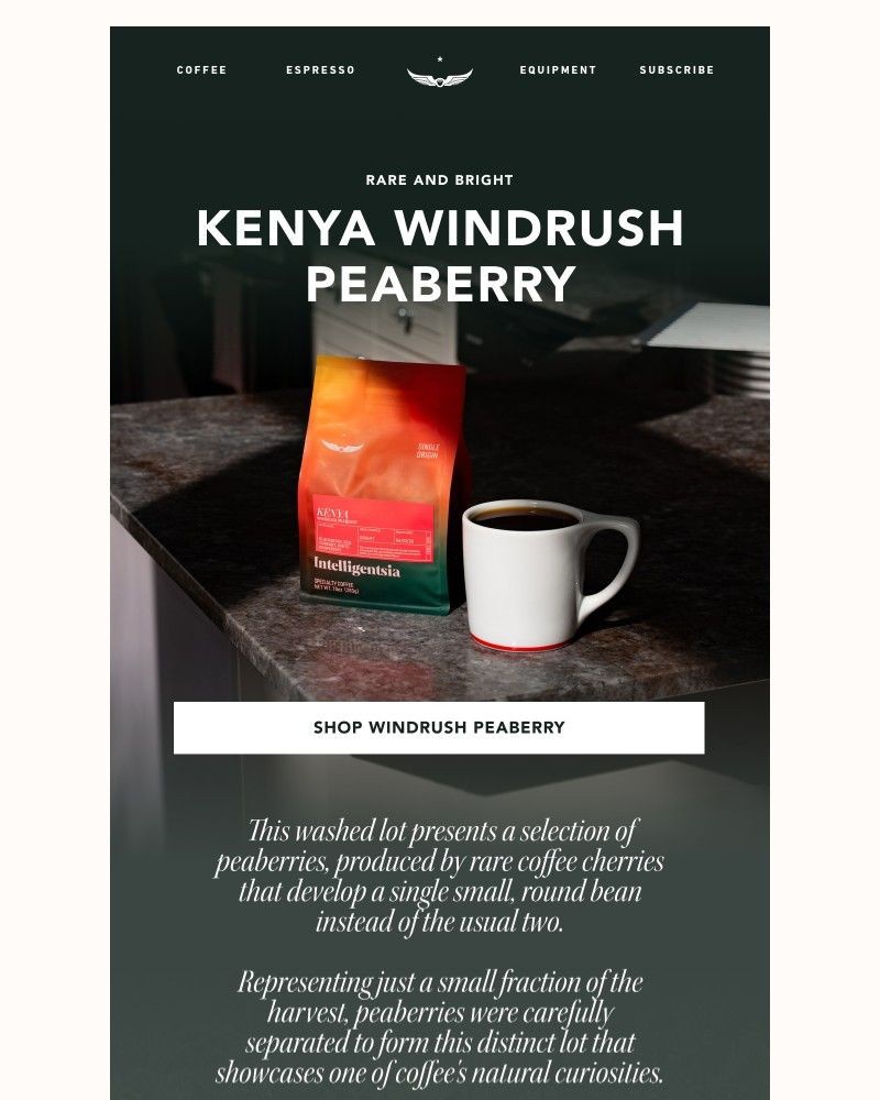 Screenshot of email sent to a Intelligentsia Newsletter subscriber