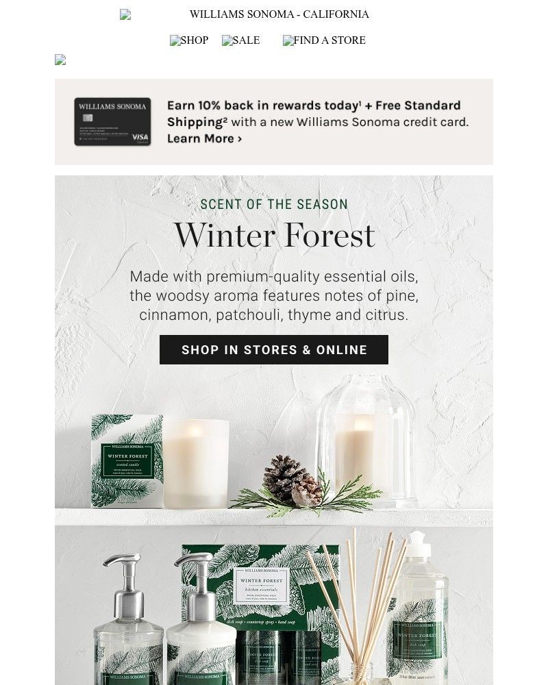 Screenshot of email with subject /media/emails/winter-forest-has-arrived-our-most-loved-holiday-fragrance-f449a4-cropped-b6271e50.jpg