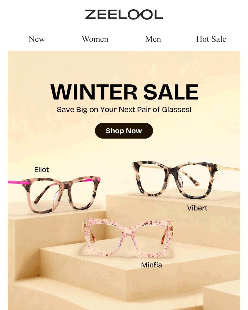 Screenshot of email with subject /media/emails/winter-sale-b8c1b2-cropped-7637de34.jpg