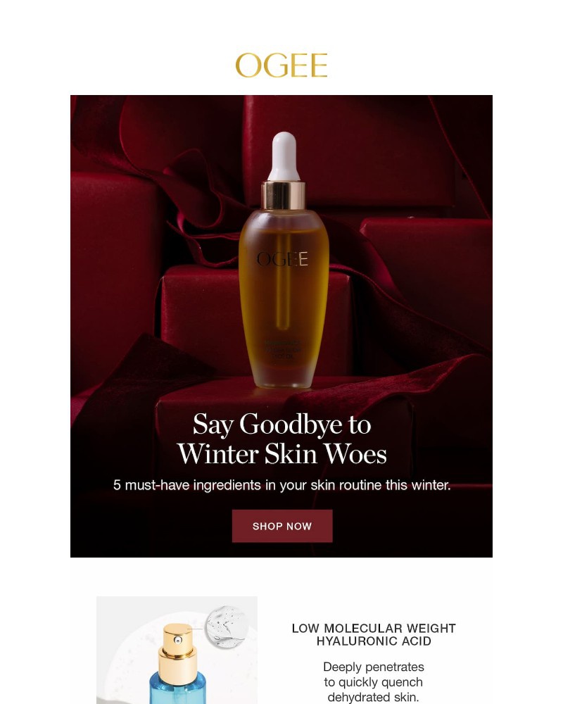 Screenshot of email with subject /media/emails/winter-skin-woes-no-more-1332d5-cropped-eaaffb48.jpg