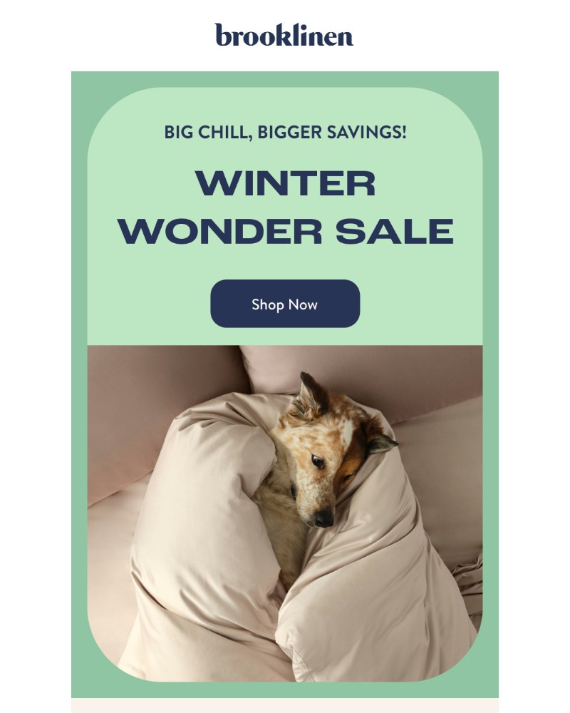 Screenshot of email with subject /media/emails/winter-wonder-sale-ends-soon-44cde7-cropped-6e37e825.jpg