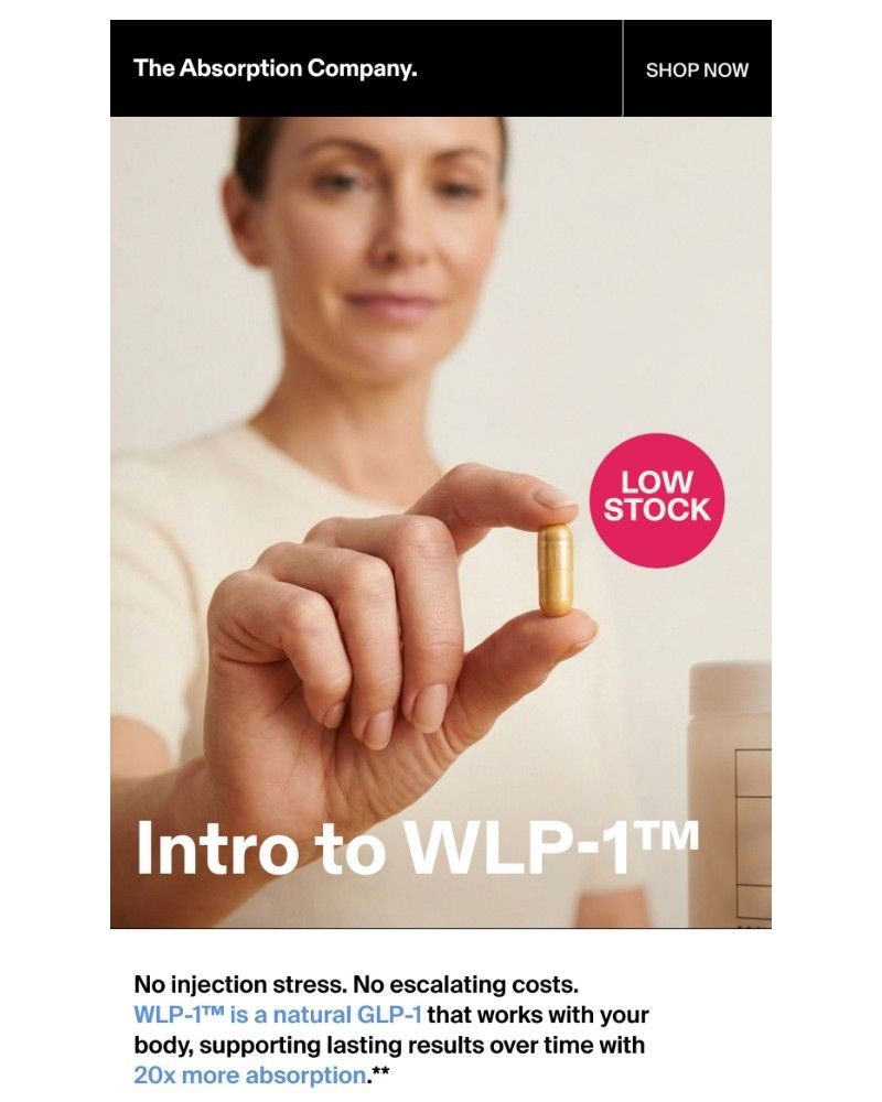 Screenshot of email sent to a The Absorption Company Newsletter subscriber