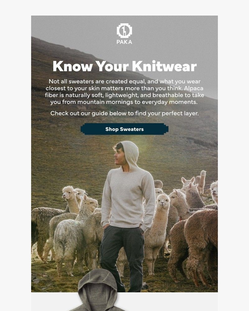 Screenshot of email sent to a Paka Newsletter subscriber