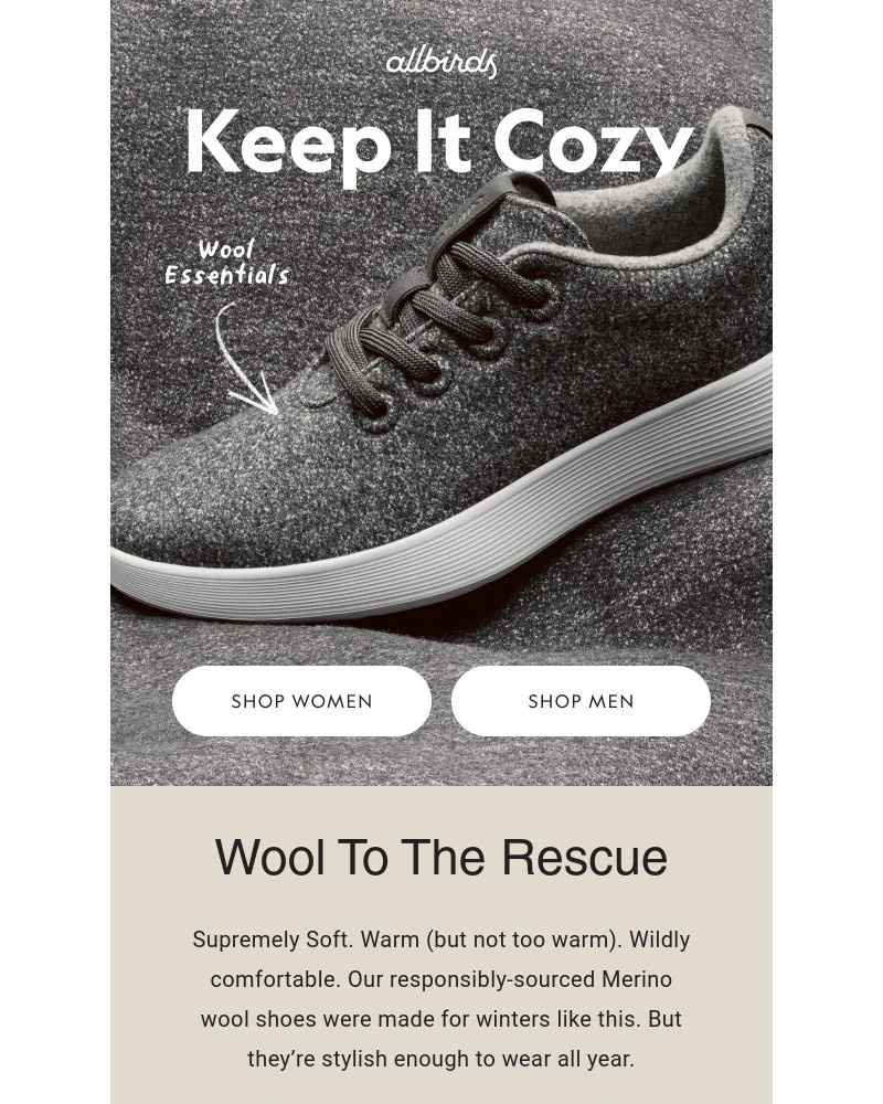 Screenshot of email with subject /media/emails/wool-shoes-made-for-wild-winters-720af1-cropped-ebf29f45.jpg