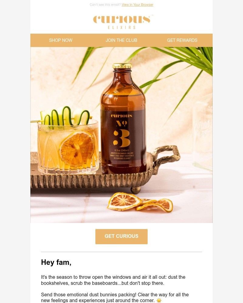 Screenshot of email sent to a Curious Elixirs Newsletter subscriber