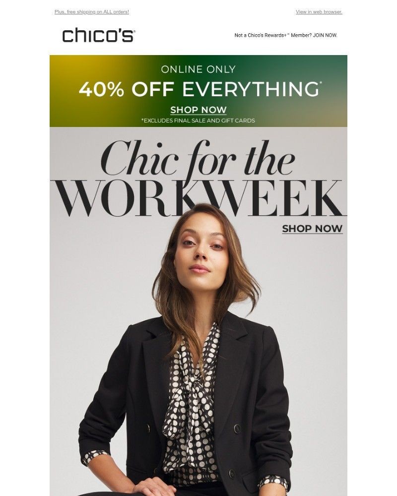 Screenshot of email with subject /media/emails/workweek-chic-40-off-04bbc6-cropped-a67e7d97.jpg
