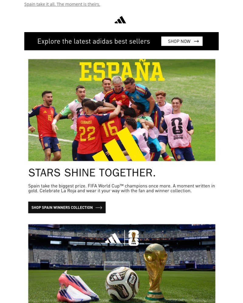Screenshot of email sent to a Adidas Newsletter subscriber