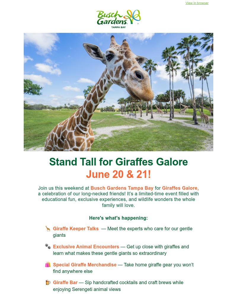 Screenshot of email with subject /media/emails/world-giraffe-day-this-saturday-e14bca-cropped-03c241dc.jpg