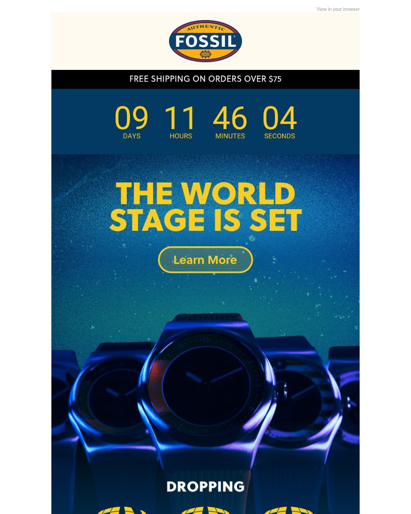 Screenshot of email sent to a Fossil Newsletter subscriber