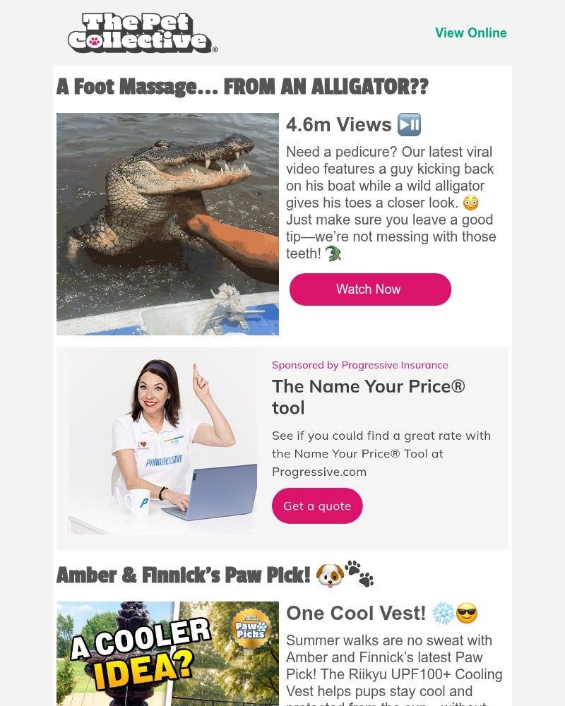 Screenshot of email with subject /media/emails/would-you-do-this-to-an-alligator-716b98-cropped-541a82f7.jpg