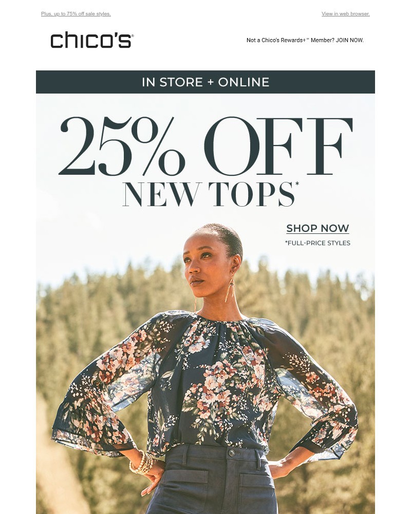 Screenshot of email with subject /media/emails/yay-youre-getting-25-off-new-tops-e68b52-cropped-54093130.jpg