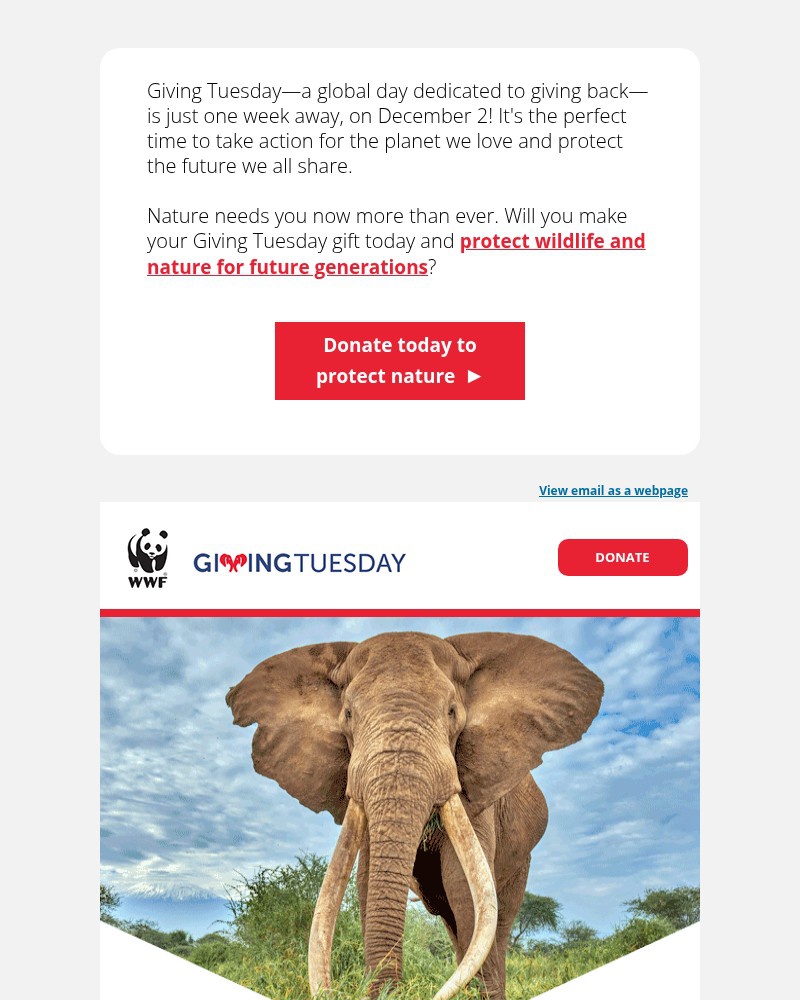 Screenshot of email with subject /media/emails/yes-i-want-to-protect-nature-8e3cc3-cropped-1f3187a2.jpg