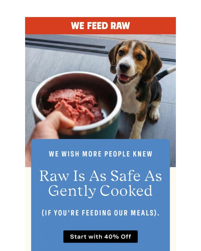Screenshot of email with subject /media/emails/yes-raw-is-as-safe-as-cooked-for-your-pup-bfe468-cropped-5c9babd1.jpg