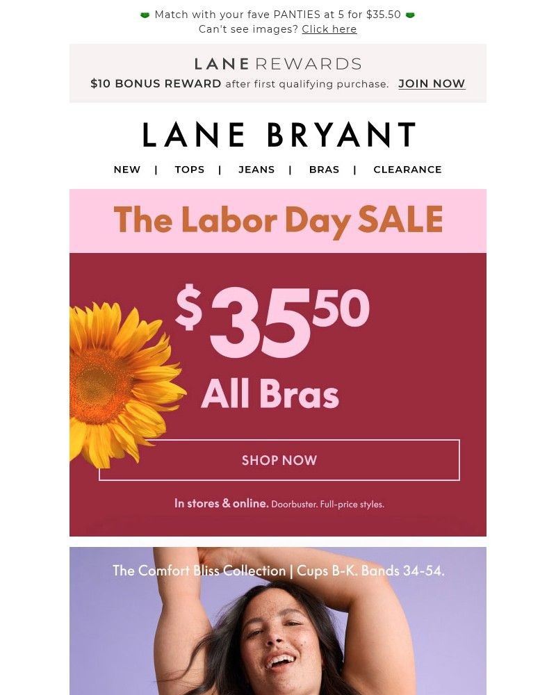 Screenshot of email with subject /media/emails/yes-were-giving-you-3550-bras-all-of-them-0a6b97-cropped-e9a8fe3c.jpg